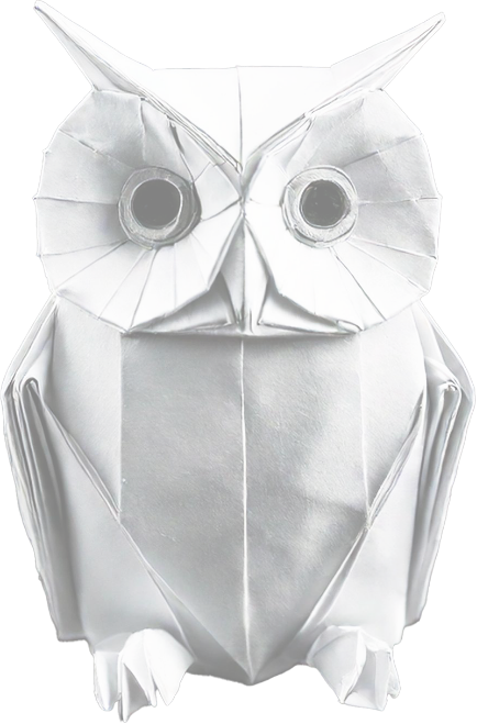 Websites Owl Websites Owl